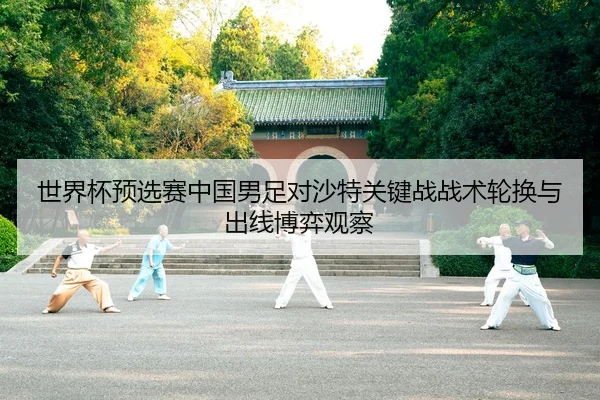 shi-jie-bei-yu-xuan-sai-zhong-guo-nan-zu-dui-sha-te-guan-jian-zhan-zhan-shu-lun-huan-yu-chu-xian-bo-yi-guan-cha-2-870.jpg